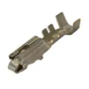 [D3354791] TERMINAL HEMBRA LECTORA 18-20 ORIG