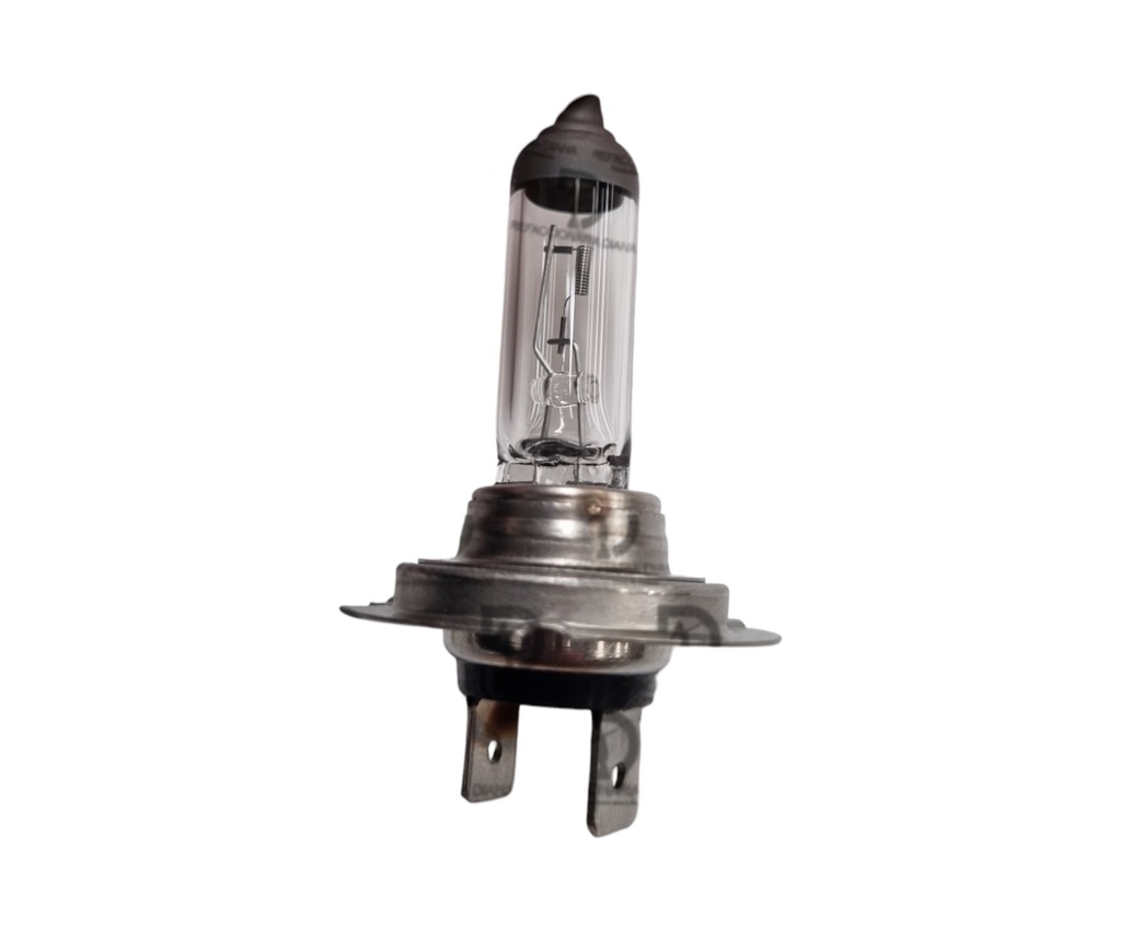 FOCO H7 24V 70W HELLA