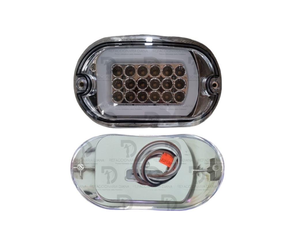 CALAVERA NEON LEDS TORINO CRISTAL 12-24V