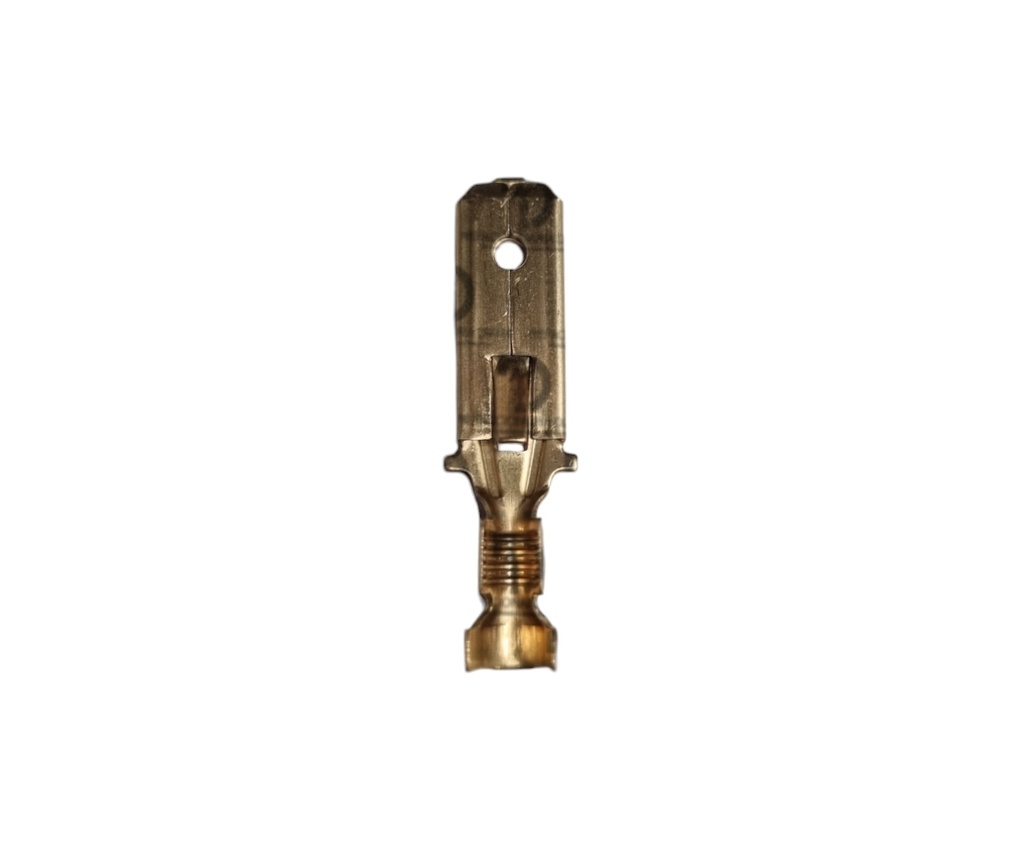 TERMINAL FASTON MACHO DORADA 6434.00